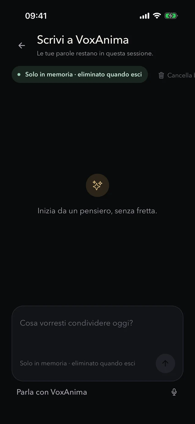 Schermata di scrittura di VoxAnima con una conversazione vuota, un avviso di sola memoria e il campo del messaggio